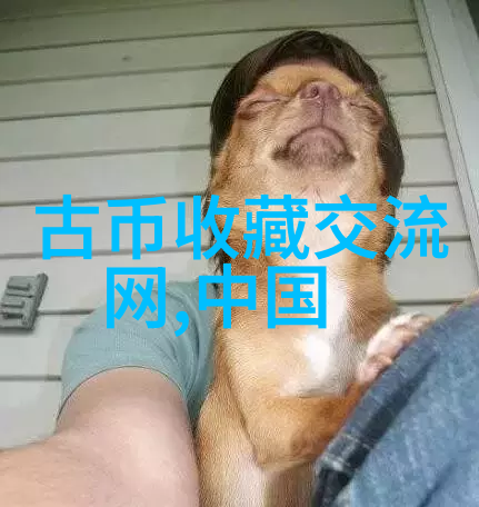 打开我的收藏中心里奥哈阿拉维萨阿拉瓦产区葡萄园的绿灯