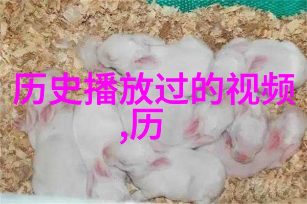从帝皇辉煌到民间微光历史朝代的反差篇章