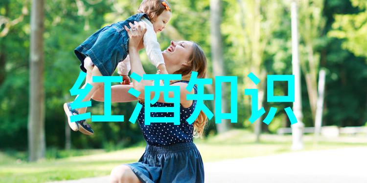 玉米之舞金黄梦想与碧绿现实