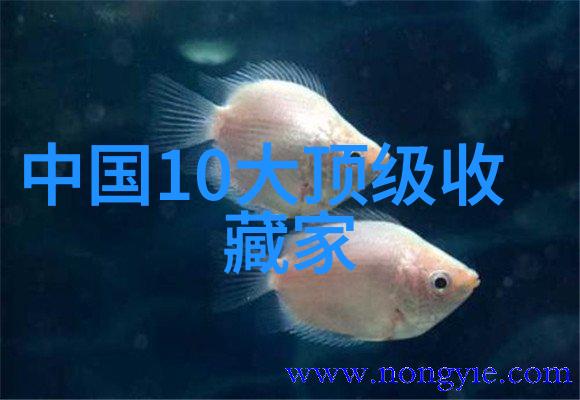 成都周边好玩的景区红酒熏鳗鱼在自然中品味美食与风景合一