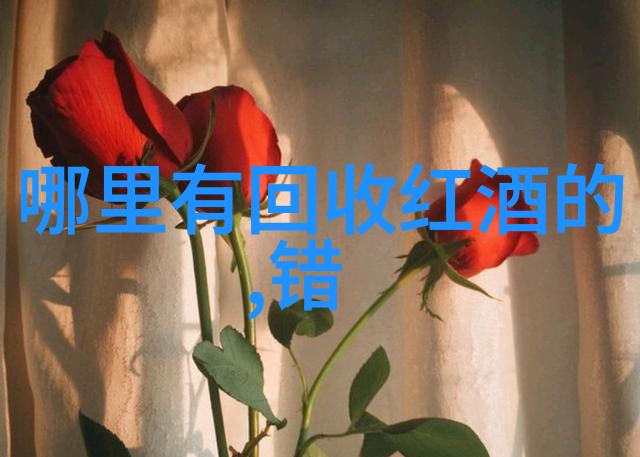 探索江南上海周边城市的魅力之旅