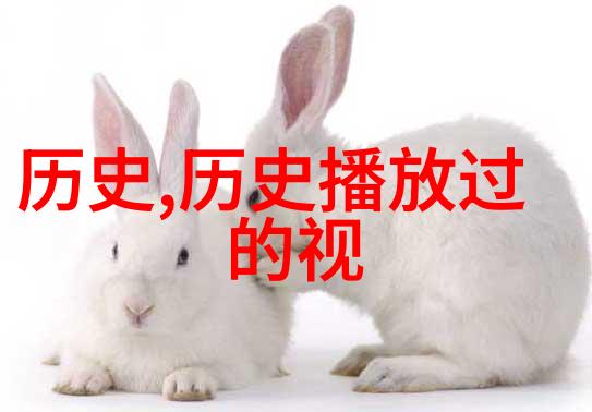 古籍珍本收藏探索中华文化的宝库