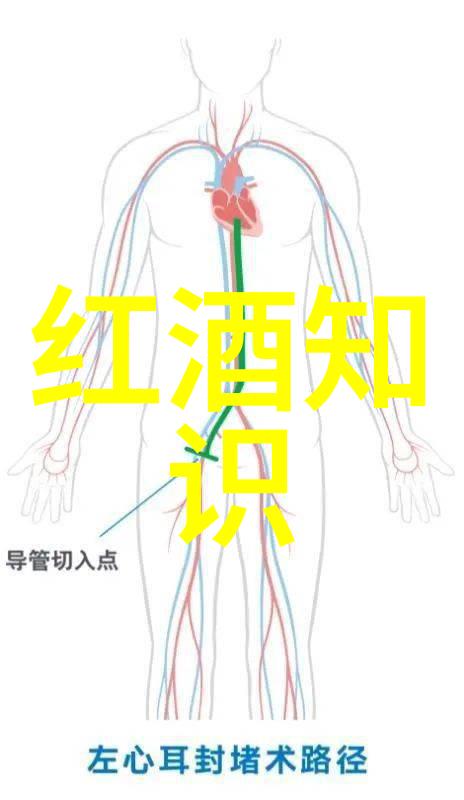 猫的种类介绍及图片-喵呜探秘全球20种最受欢迎猫咪品种与精彩图库