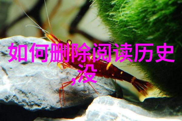 中国小吃中的一个转变从传统手工饺子到现代快餐形式的小吃演变过程是怎样的