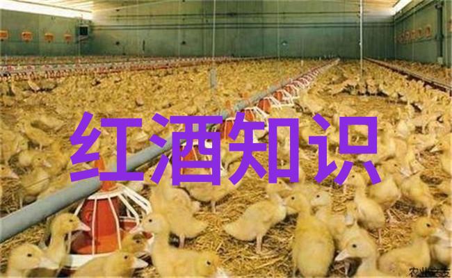 对于不同年龄段的人物要注意哪些细节来保持逼真度