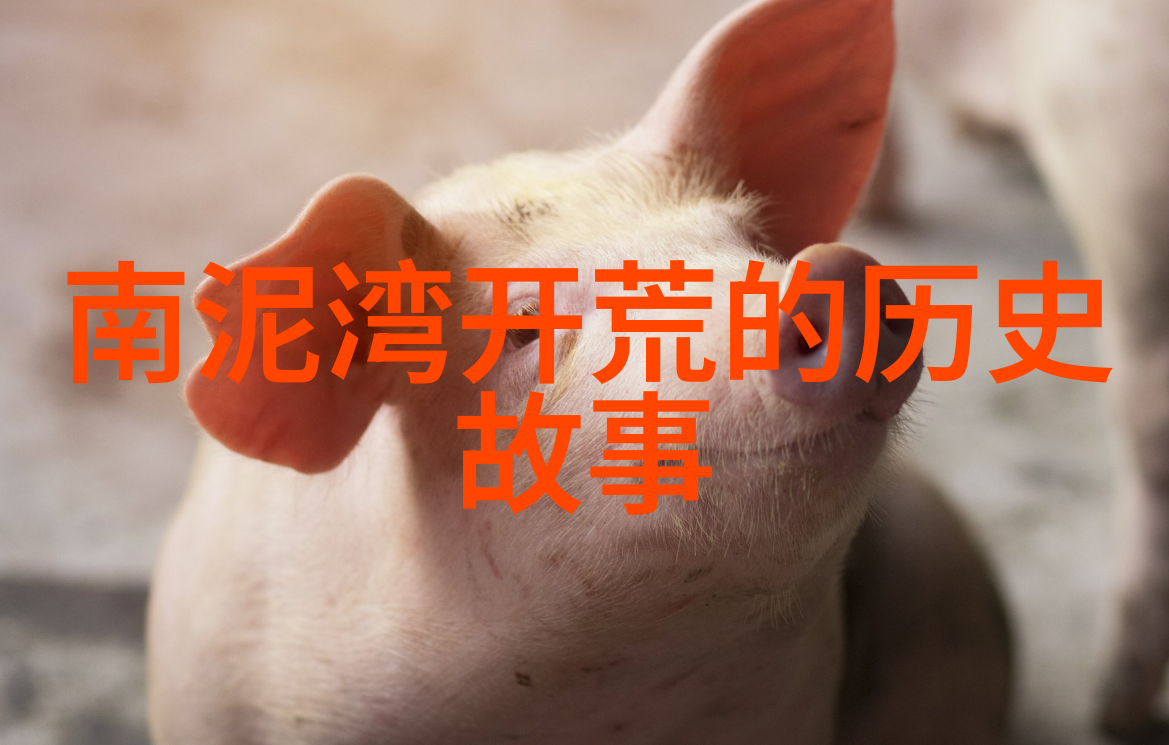 数字时代的收藏家如何在下载中寻找爱好与热情