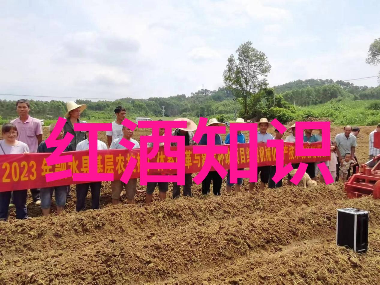 大自然赋予的艺术高质量玉米植物和产品图片集锦