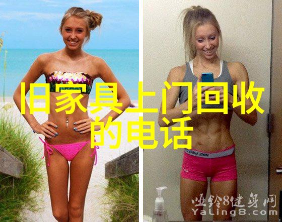 猫咪种类图片大全各种萌宠的风采展现