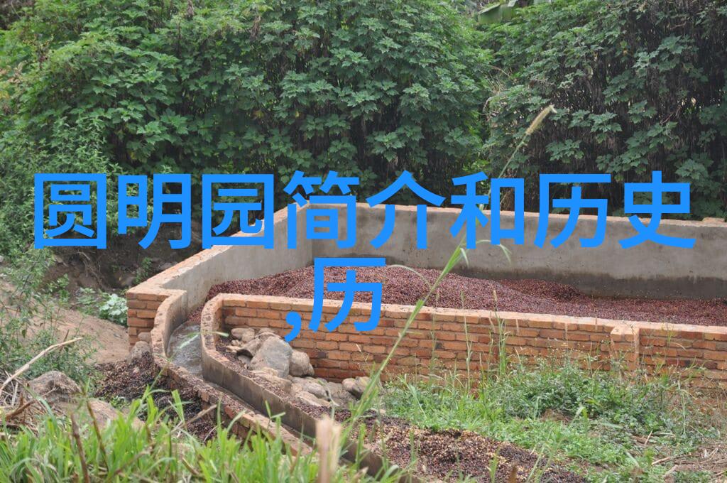 波尔多葡萄酒之冠探索梅多克平托和圣埃美利翁等主要产区的魅力