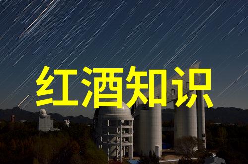 问卷大揭秘2022年最流行的娱乐方式是什么