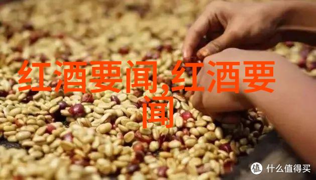 探秘世界揭秘那些令人倾心的玫瑰花品种名称
