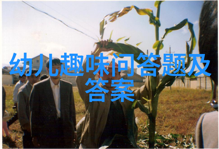 智慧全方位解锁360问答的奥秘