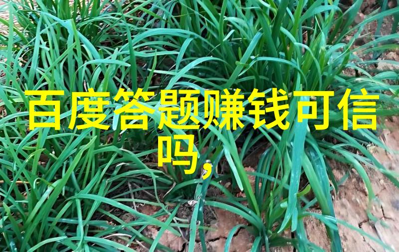 刘猛的刺客世界暗影与勇气