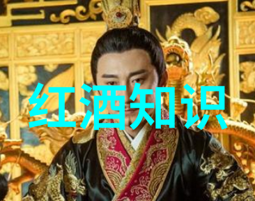法国葡萄园的诗篇绚烂红酒的图案之旅