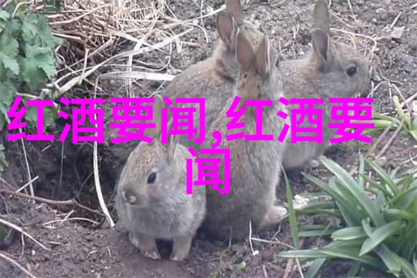 猫咪世界探索各种猫品种的美丽与智慧全彩图片图鉴