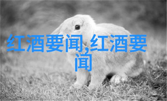 探索起泡酒的秘密答主中心入口找不到醒来之路