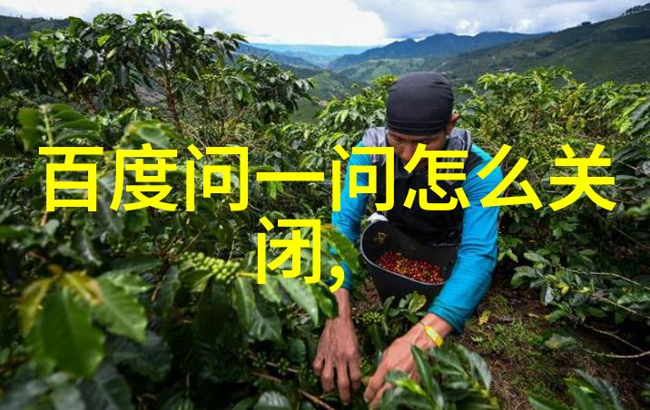 猫咪风采展现不同品种的独特魅力