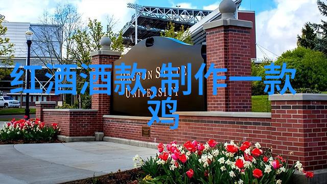 修真世界全文阅读探索虚拟仙侠世界的精彩与奥秘