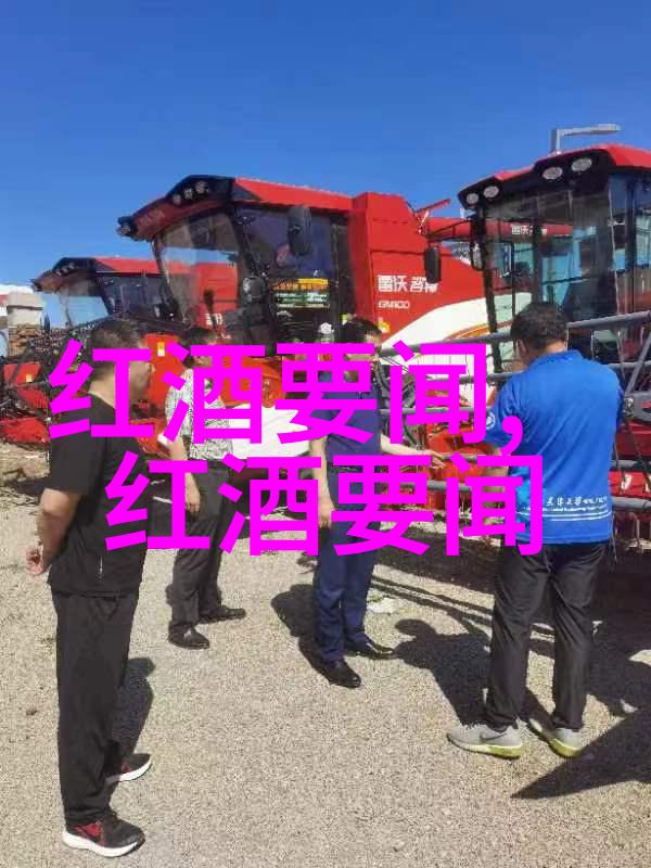 名为谜的解释者