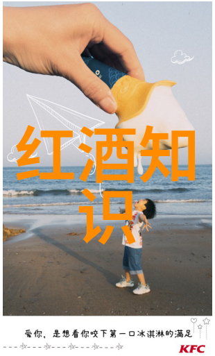 勃艮第红酒与波尔多葡萄酒之争探索两大名家区别的艺术勃艮第红酒的经典风味与波尔多葡萄酒的复古魅力