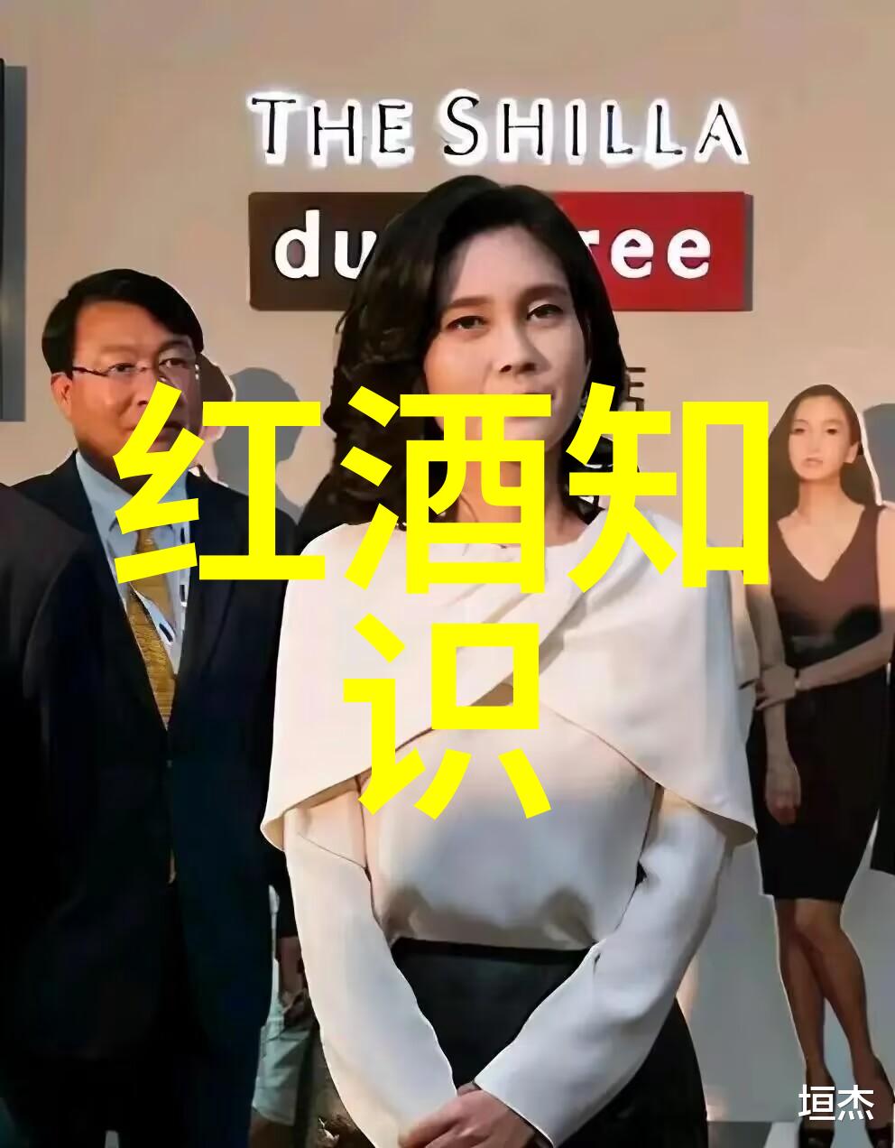 收藏界杂志-珍品探索揭秘收藏界最有价值的古董艺术