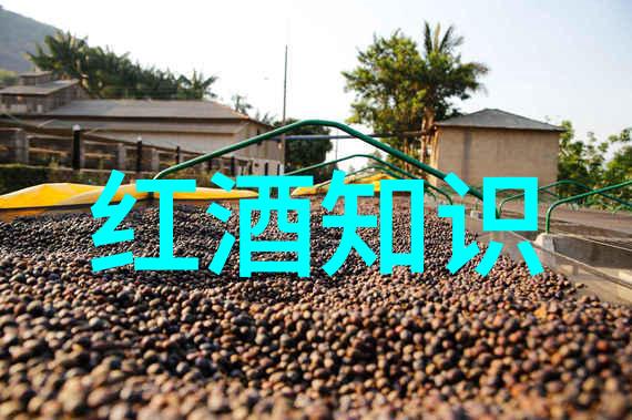 猫咪常见的品种我来告诉你这些超可爱的猫咪朋友们