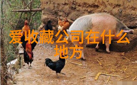 形态色彩表情构建独特卡通人物形象的要素探讨