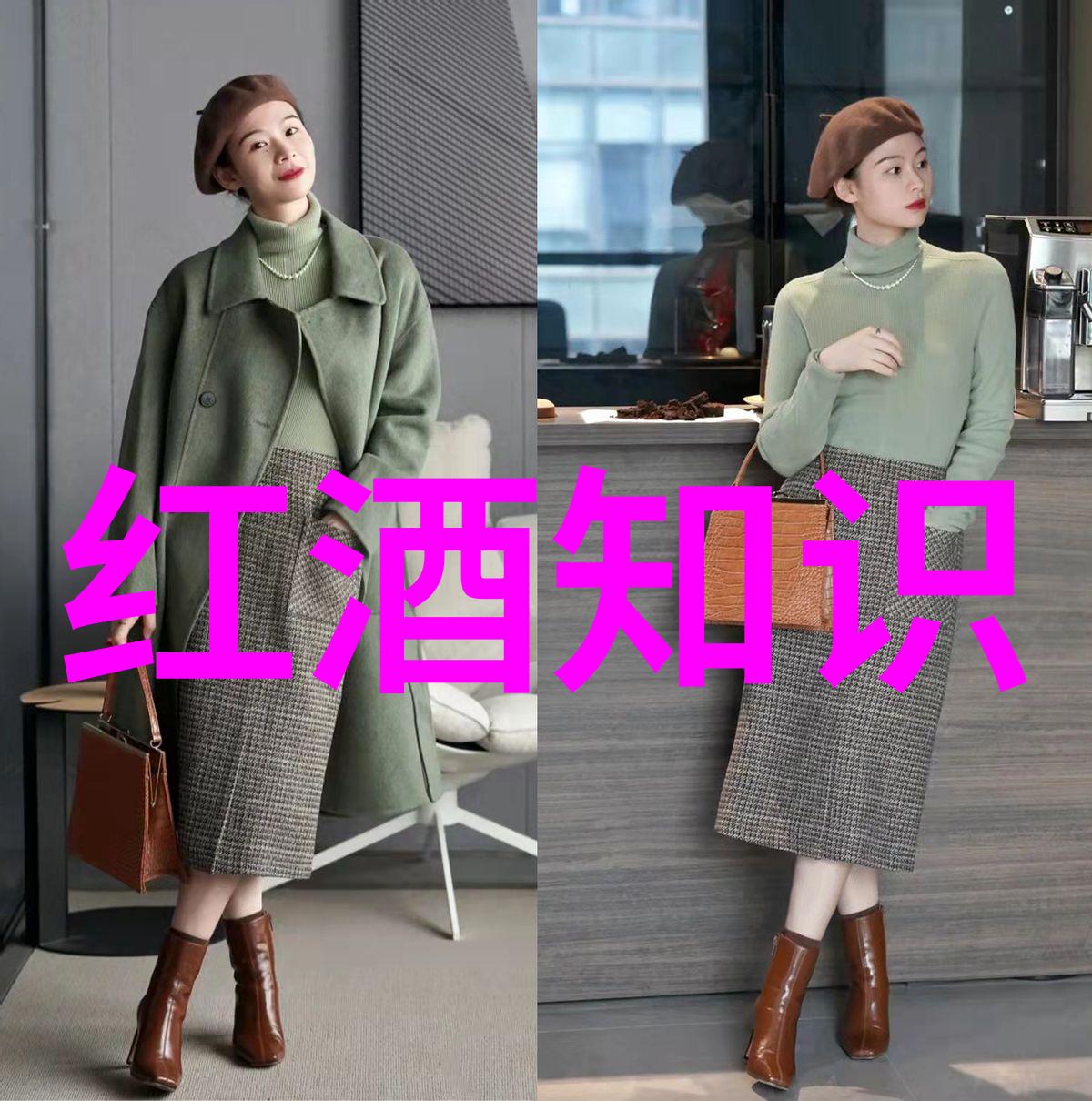 阿根廷门多萨产区简介历史与地理