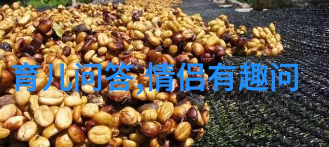 金融历史-追踪市场波动解读股票历史价格的艺术