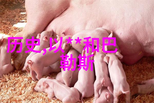 法国最有名的两个葡萄酒产地中马蒙德法定产区(Cotes du Marmandais)如同一位温文尔雅