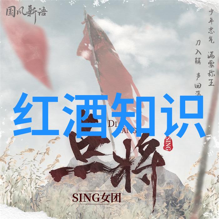 红酒开瓶器怎么使用第二篇