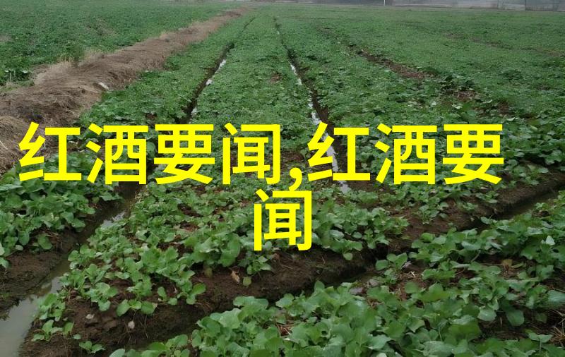 历史时光的长河与记忆的海洋