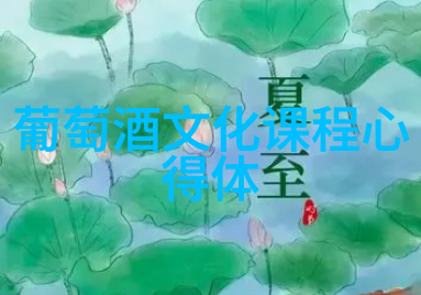 如何在家中保存葡萄酒