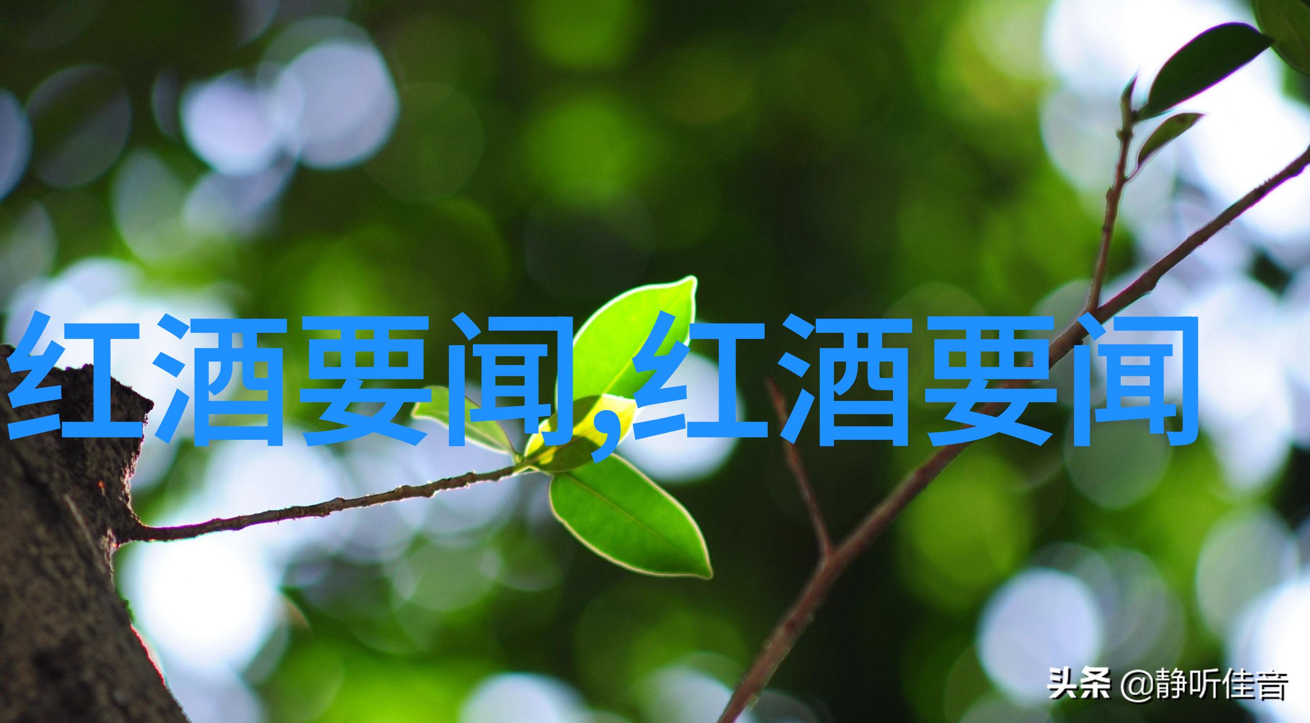 古代中国的庄园生活与经济社会关系