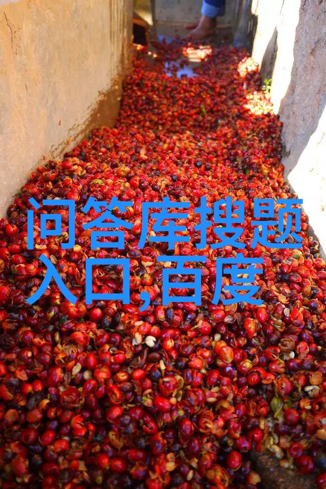 暑假旅游选择的学术探究儿童友好度与亲子体验优化策略