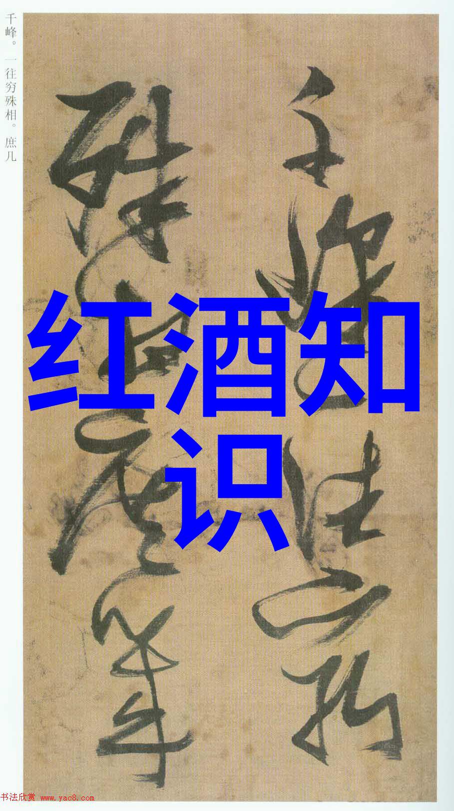 condasavel红酒与烹饪搭配秘诀让餐桌更精彩