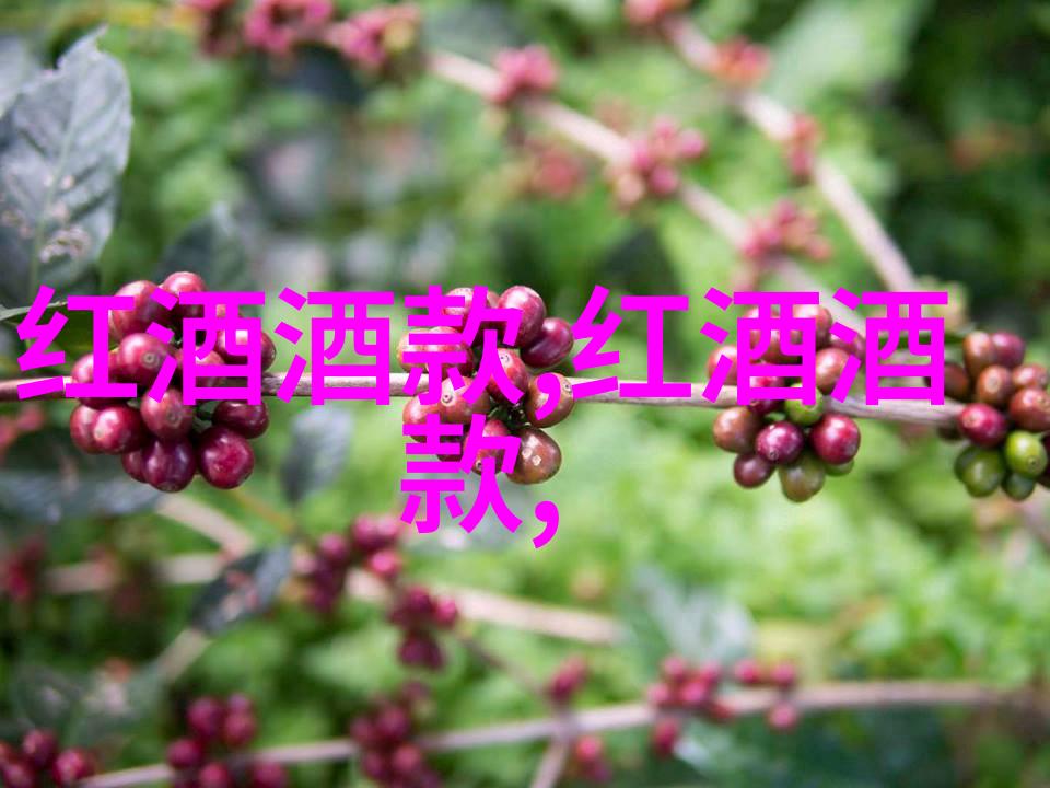 历史天气的痕迹揭秘往昔气候的变迁