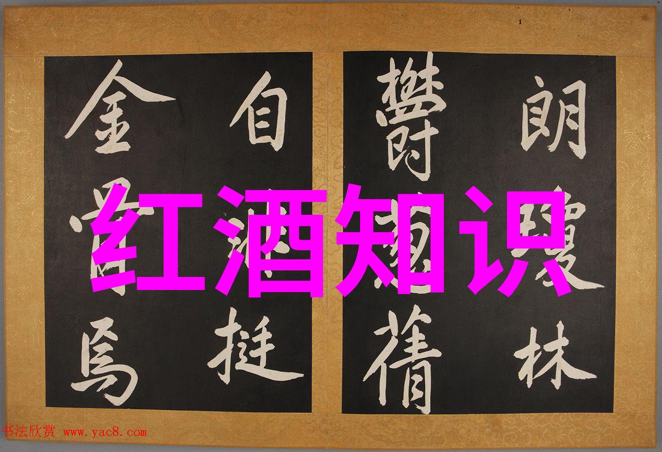 猫咪王国揭秘宠物宝石的市场神话
