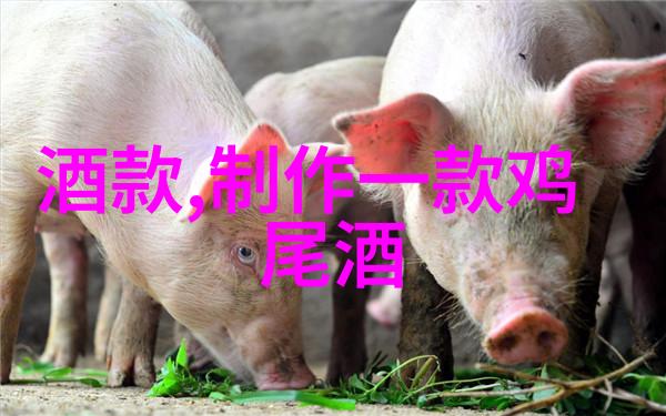 现代英雄人物有谁-今日英雄普通人非凡事迹的故事探索