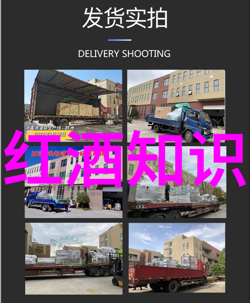 花开满枝头的秘密玫瑰花的名字之旅