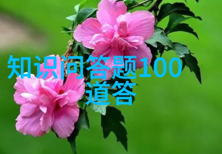 如何查阅和管理你的搜索历史记录