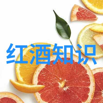 主题我去探访法国两大红酒产区的经历