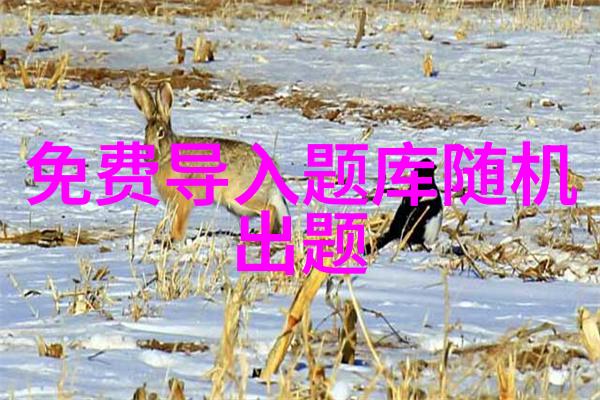 探索人物一词之涵义人之外的面貌