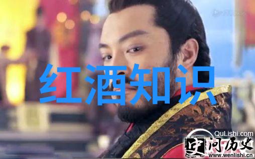 老球星新挑战如何看待蒂姆邓肯在NBA历史中的表现