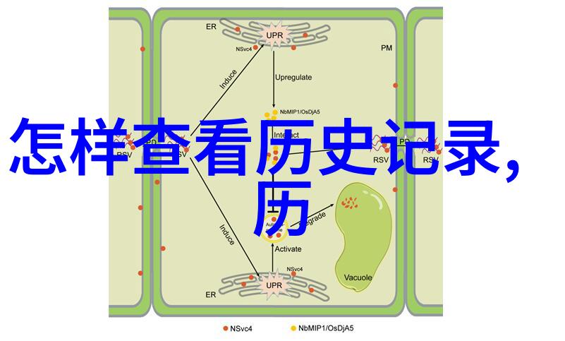 市场风云精选指数基金之战
