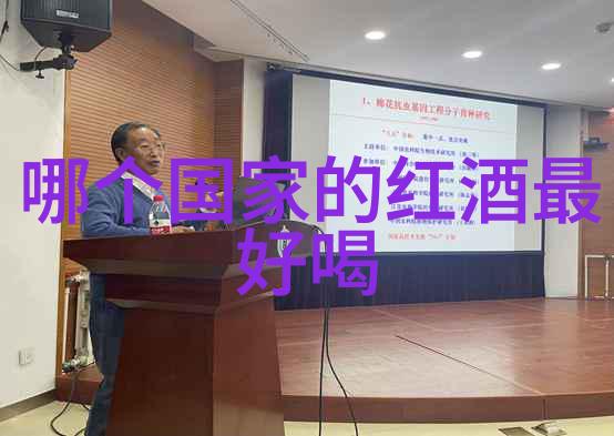 西班牙葡萄酒十大产区我带你去探索那些酿造世界级佳酿的神秘土地