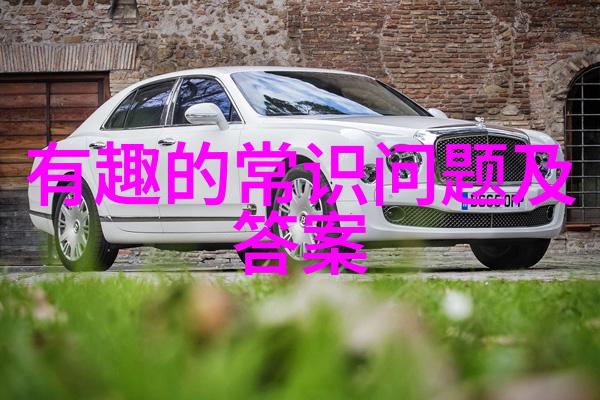 旧物新宠揭秘最棒的老货交易场所