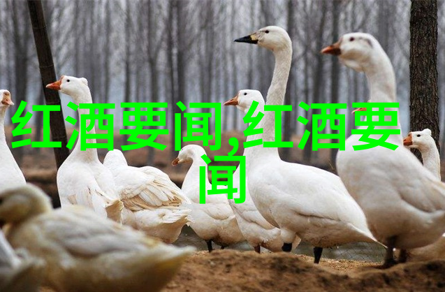 珍藏之旅探秘电视剧中的收藏家传奇