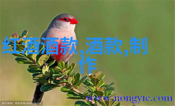 德国葡萄酒产区与酿酒品种指南社会红酒代理市场策略