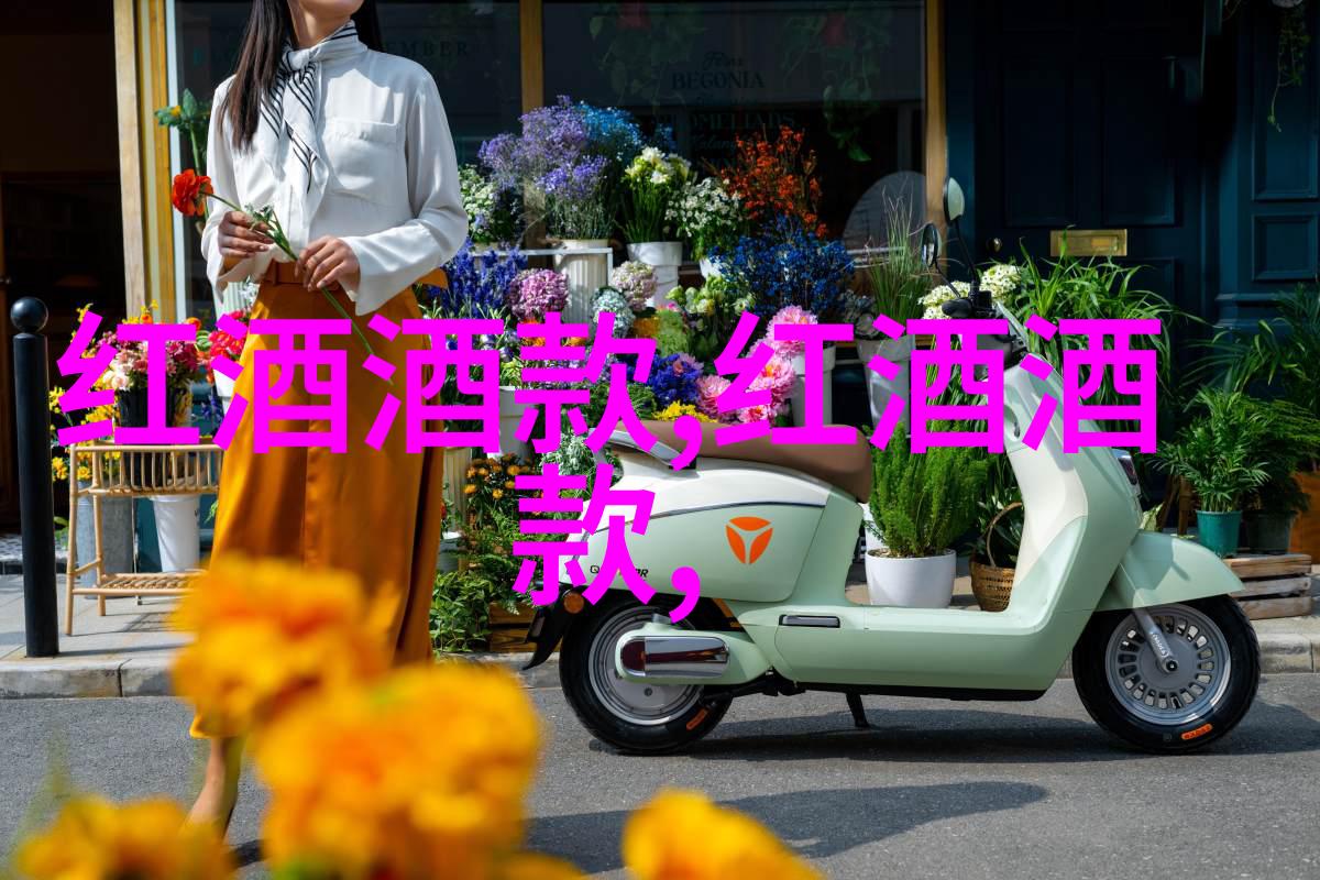 上海周边城市旅游我眼中的江南水乡探秘上海周边的隐藏宝藏